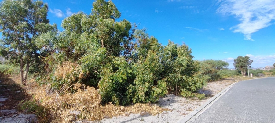 0 Bedroom Property for Sale in Franskraal Western Cape